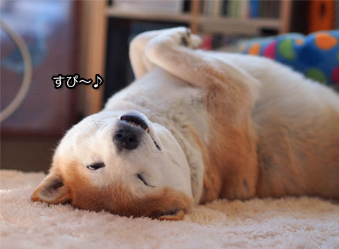 21日ブログ5.jpg