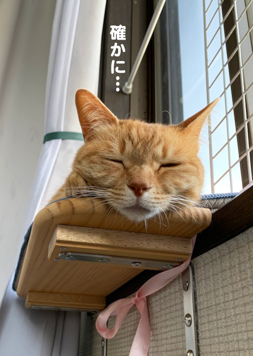21日夕ブログ５