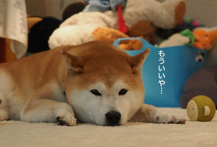 22日ブログ６