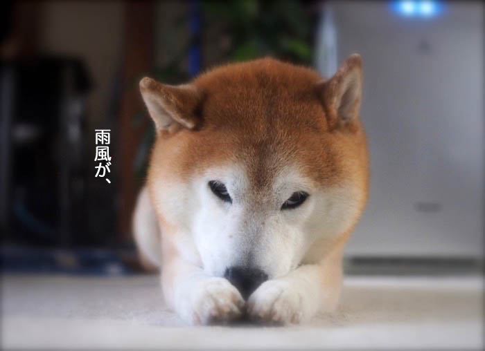1日ブログ２