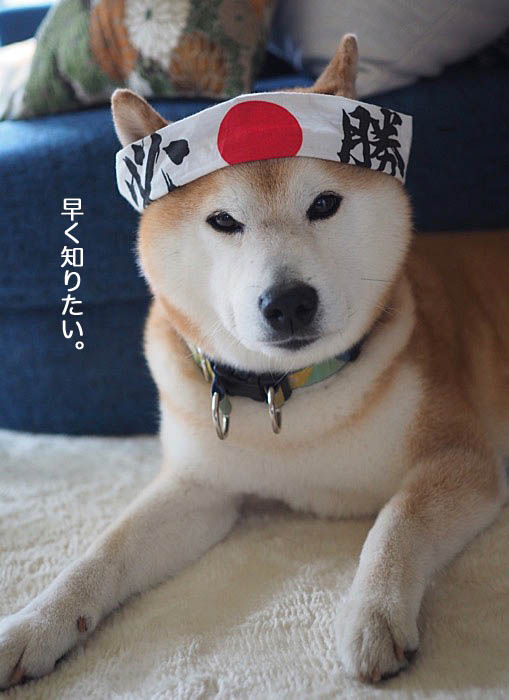 20日ブログ2