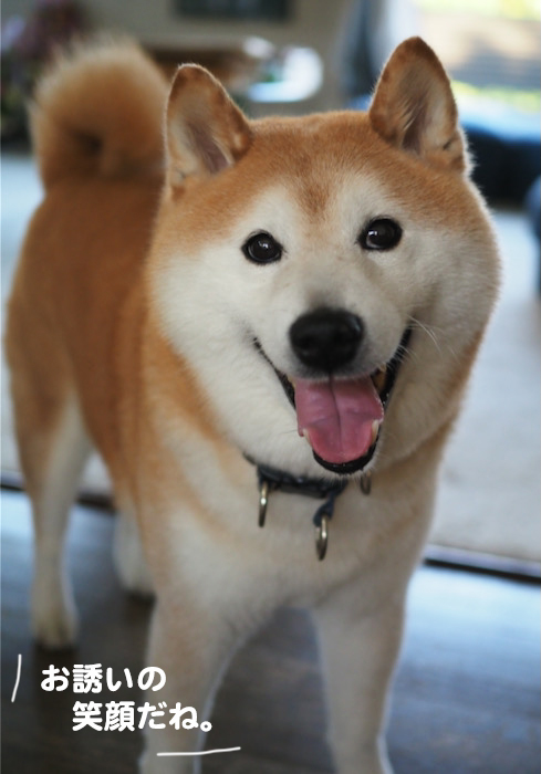 5日ブログ４