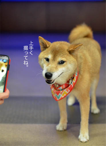 28日ブログ9.jpg