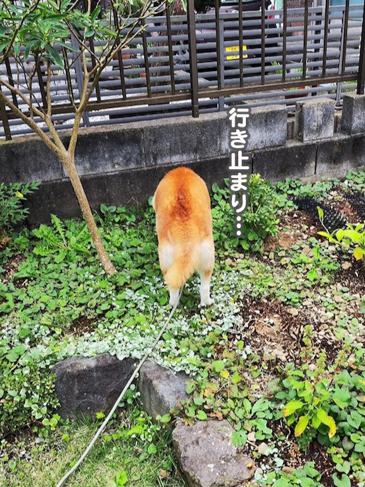 7日夕ブログ２３