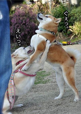 22日ブログ5.jpg