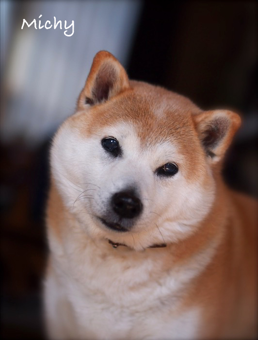 13日ブログ４