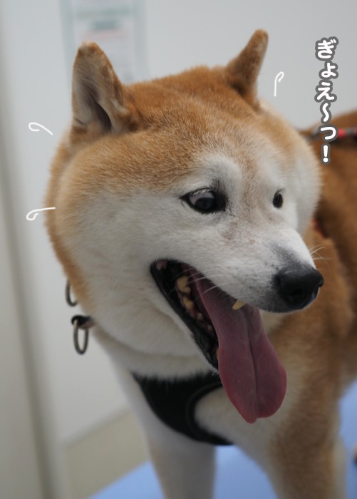 23日夕ブログ８