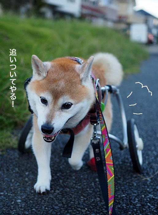 7日ブログ４
