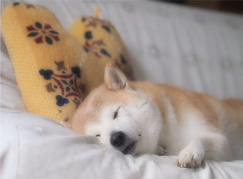 27日ブログ6.jpg