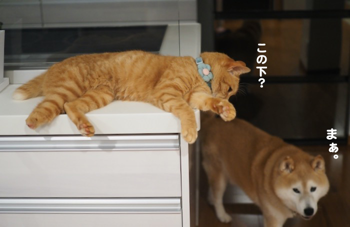 4日ブログ６