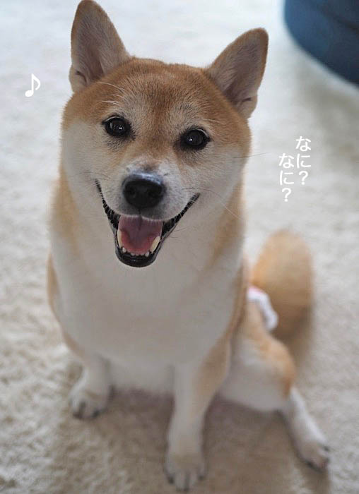 2日ブログ２