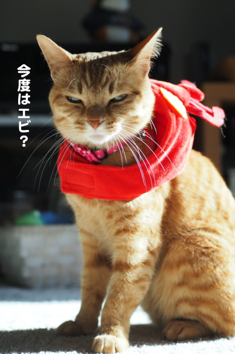 2日夜ブログ４
