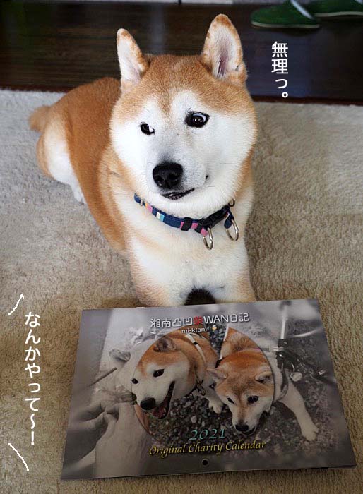 17日ブログ２