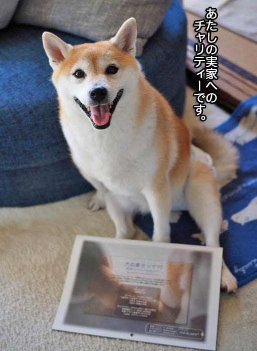 29日ブログ３
