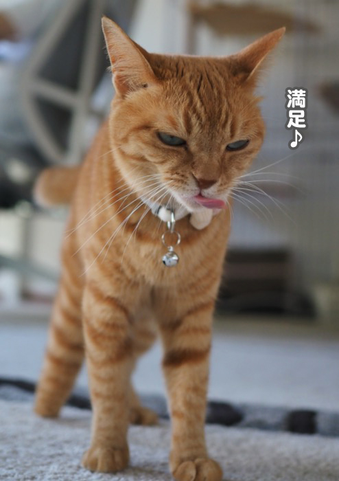16日夕ブログ７
