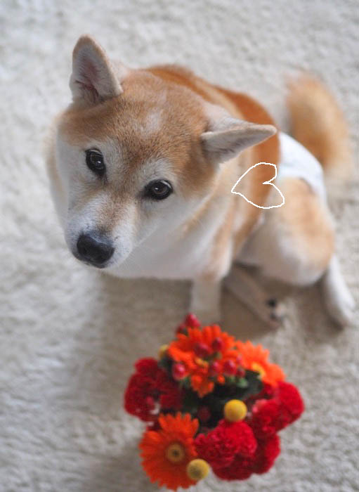 15日夜ブログ３