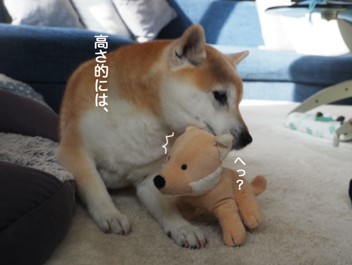 28日ブログ５
