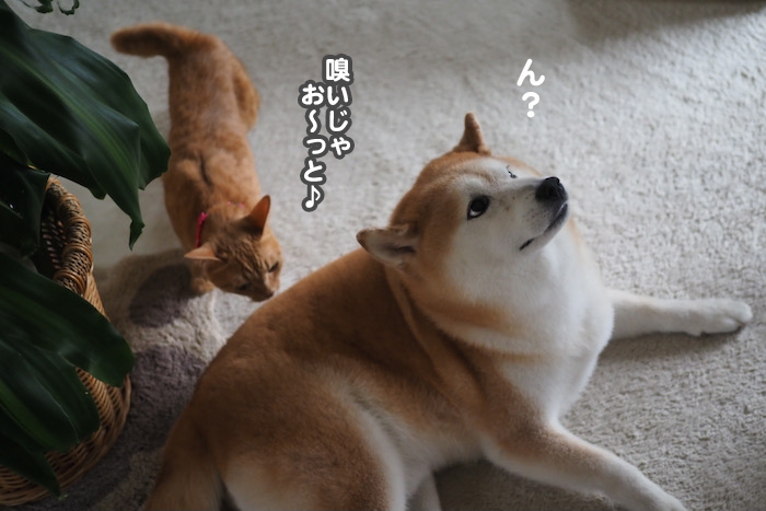 16日夜ブログ５