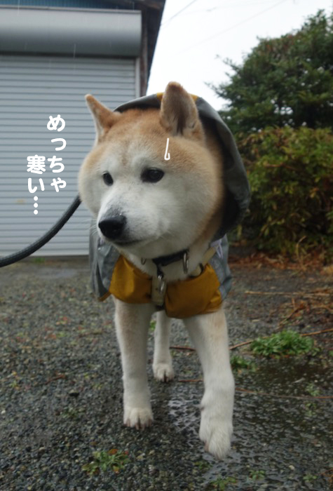 3日夕ブログ５