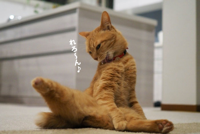 7日夕ブログ２