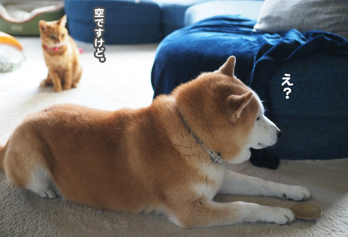 10日夕ブログ６