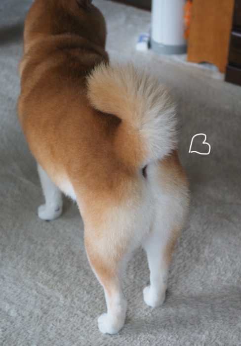4日夕ブログ9