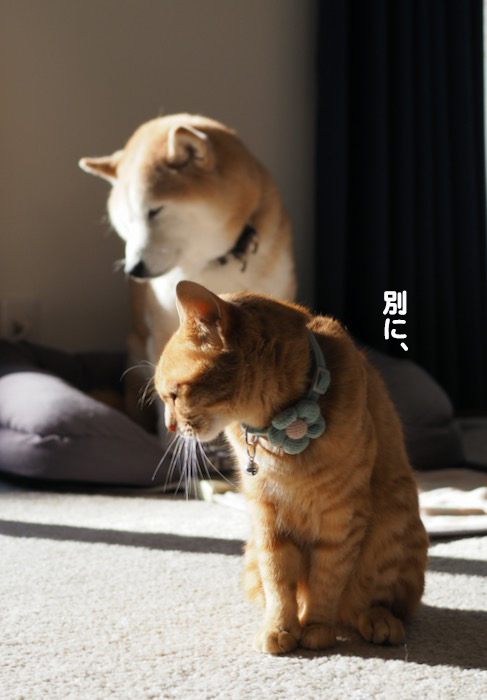 10日ブログ３