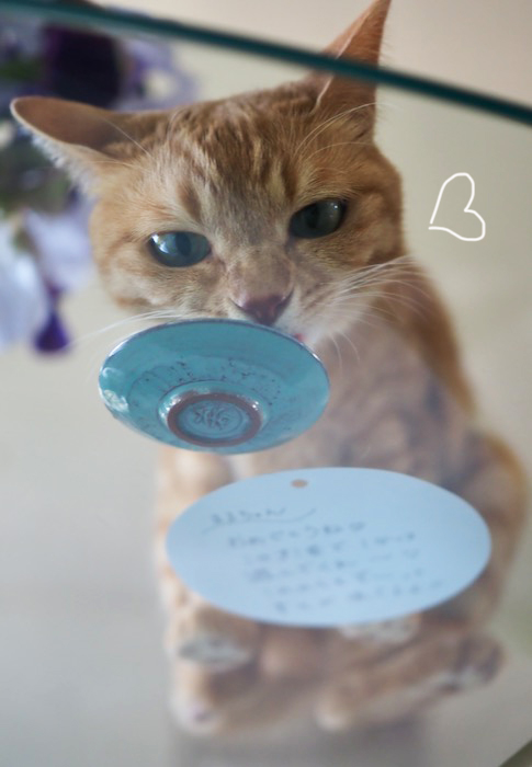 6日夕ブログ７