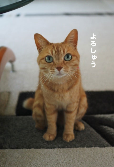 18日ブログ２