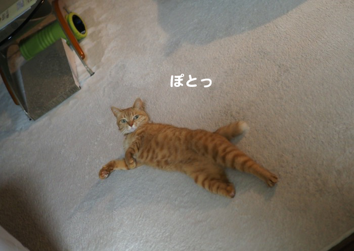 10日ブログ１