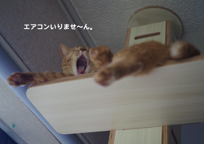 2日ブログ５