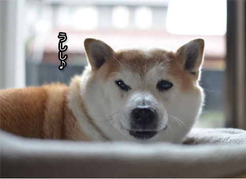 29日ブログ13.jpg
