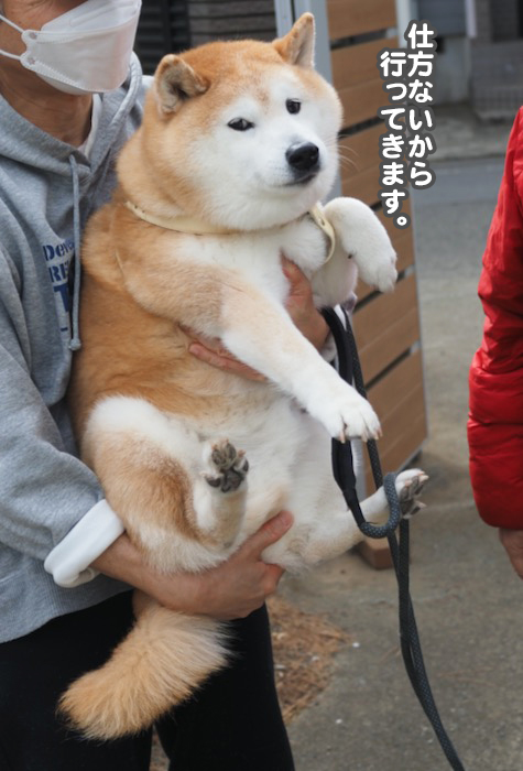3日夕ブログ１１