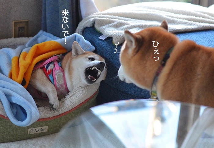 24日ブログ3