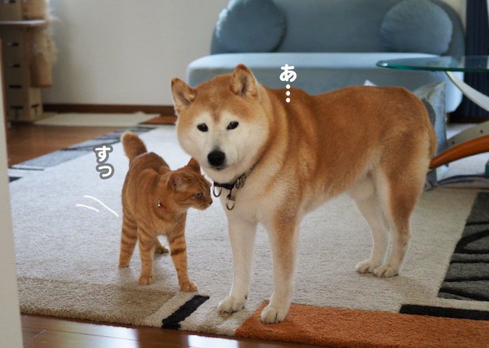 12日夕ブログ2