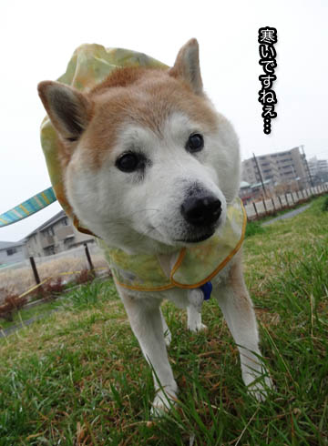 27日ブログ3.jpg