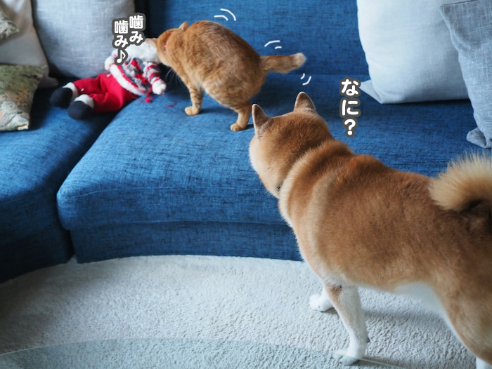 25日夕ブログ3