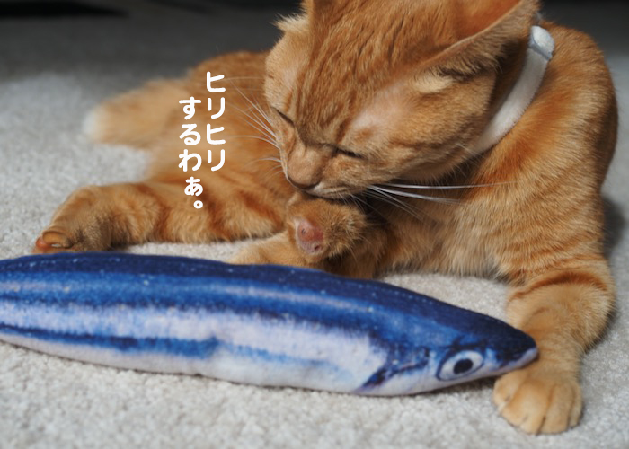 22日ブログ３
