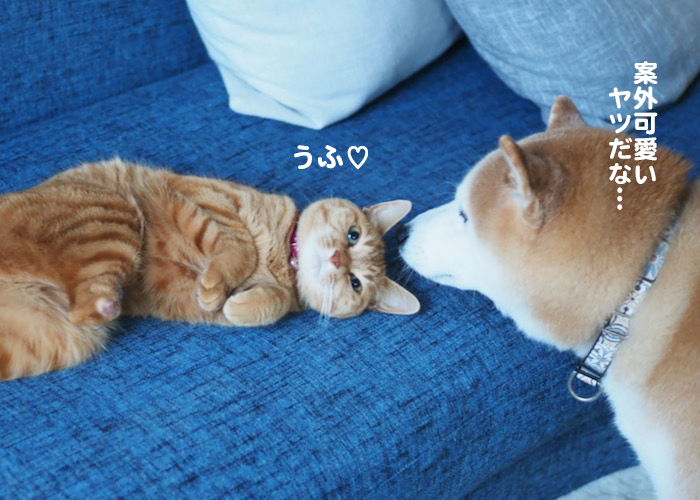 25日夕ブログ11