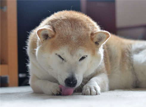 14日ブログ6.jpg