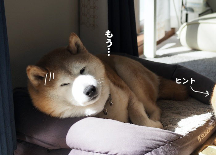 30日夕ブログ2