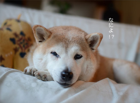 15日ブログ3.jpg