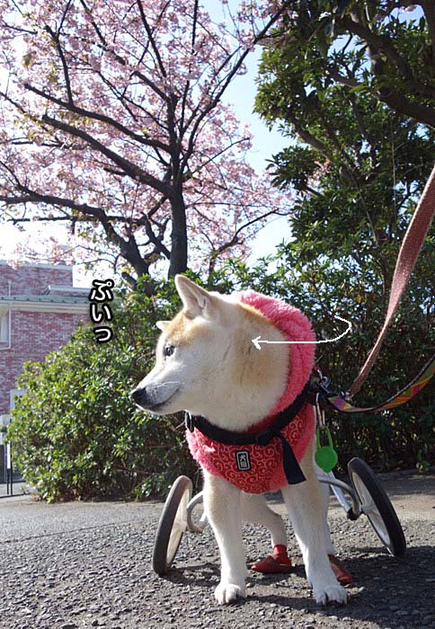 29日夜ブログ２