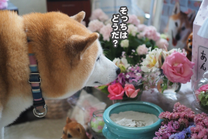 13日ブログ３