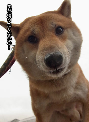 29日ブログ5.jpg