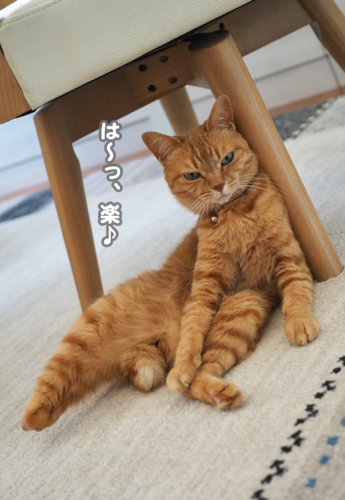 7日ブログ３