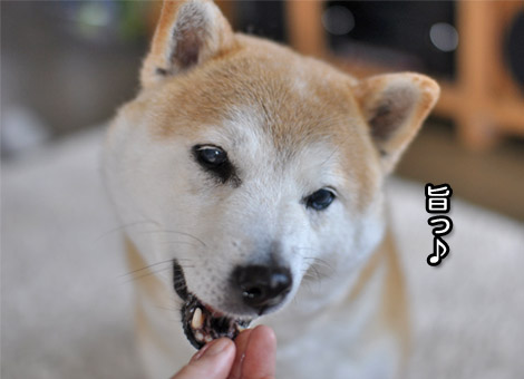 26日ブログ14.jpg
