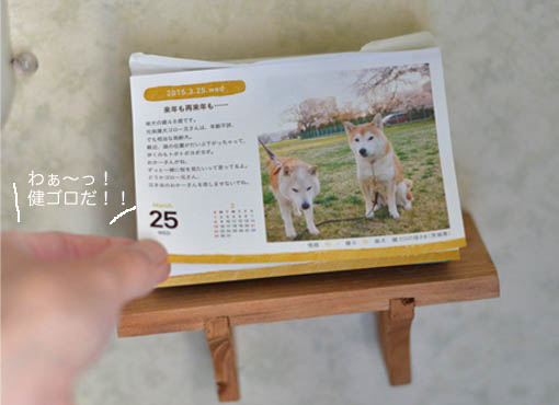 25日ブログ5.jpg