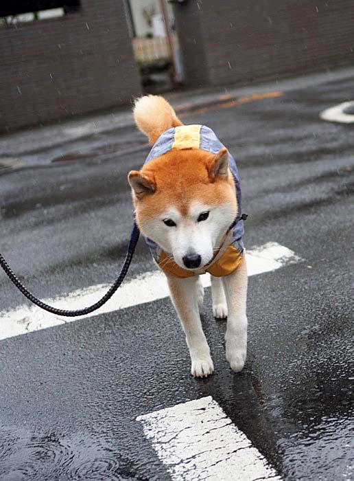 13日夜ブログ２