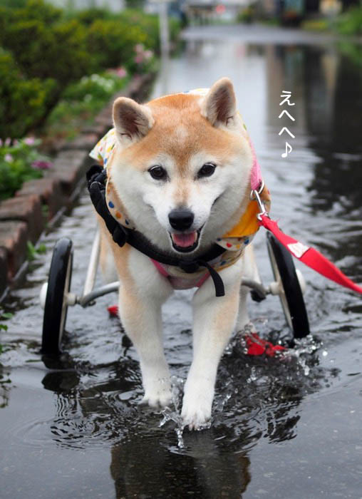 15日夕ブログ６